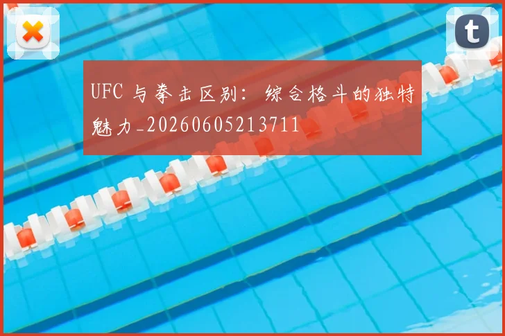 UFC 与拳击区别：综合格斗的独特魅力_20260605213711