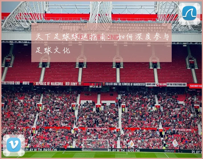 天下足球球迷指南:如何深度参与足球文化