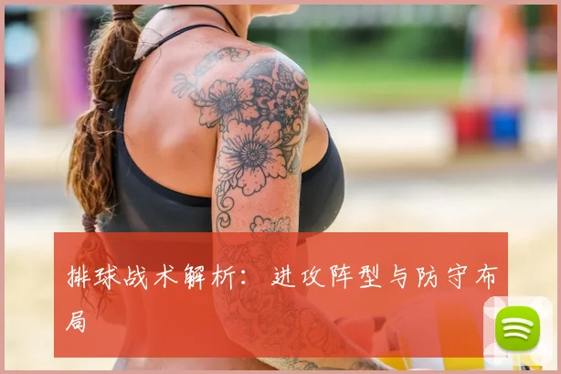 排球战术解析:进攻阵型与防守布局